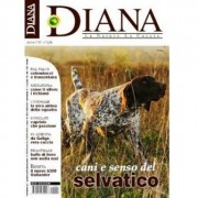 Diana nr.1 è in Edicola dal 13 gennaio 2012 Diana nr.1 è in Edicola dal 13 gennaio 2012